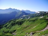 �O���������瑄���x