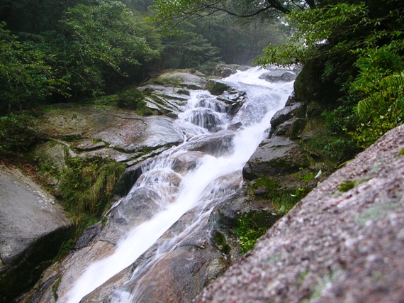 YAMA07YAKUSHIMA02.JPG - 119,437BYTES