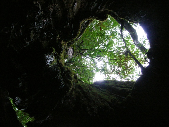 YAMA07YAKUSHIMA09.JPG - 109,401BYTES