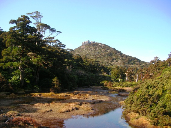 YAMA07YAKUSHIMA11.JPG - 100,645BYTES