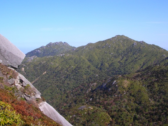 YAMA07YAKUSHIMA12.JPG - 100,258BYTES