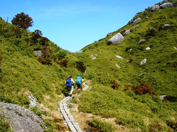 YAMA07YAKUSHIMA13.JPG - 109,505BYTES