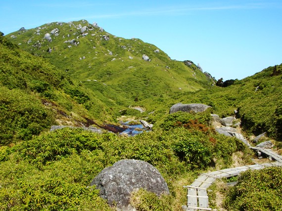 YAMA07YAKUSHIMA14.JPG - 115,588BYTES