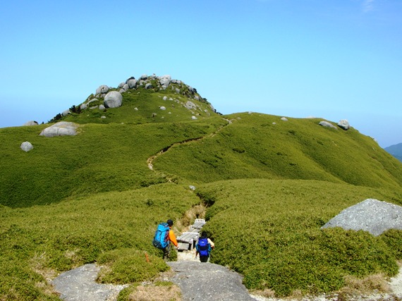 YAMA07YAKUSHIMA16.JPG - 91,871BYTES