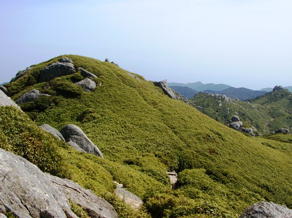 YAMA07YAKUSHIMA18.JPG - 105,135BYTES