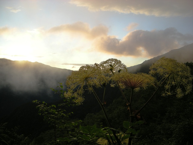 YAMA08KITADAKEHANA06.JPG - 83,995BYTES